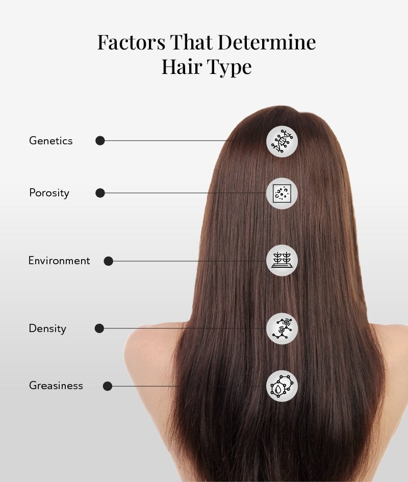 Factors Determining Hair Type